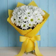 Букет цветов из:  Хризантемы в Песках Воронежской области