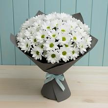 Букет цветов из:  Хризантемы #REPLACE_PRED# Песках Воронежской области