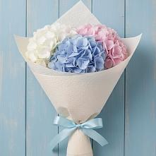 Букет цветов из:  Гортензия в Песках Воронежской области