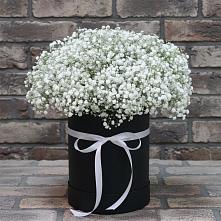 Цветочная композиция из Гипсофила в шляпной коробке #REPLACE_PRED# Песках Воронежской области