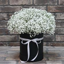 Цветочная композиция из Гипсофила в шляпной коробке в Песках Воронежской области
