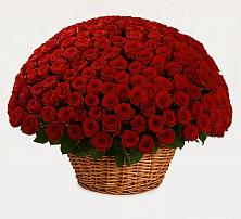 Премиум букет из: Розы в Песках Воронежской области